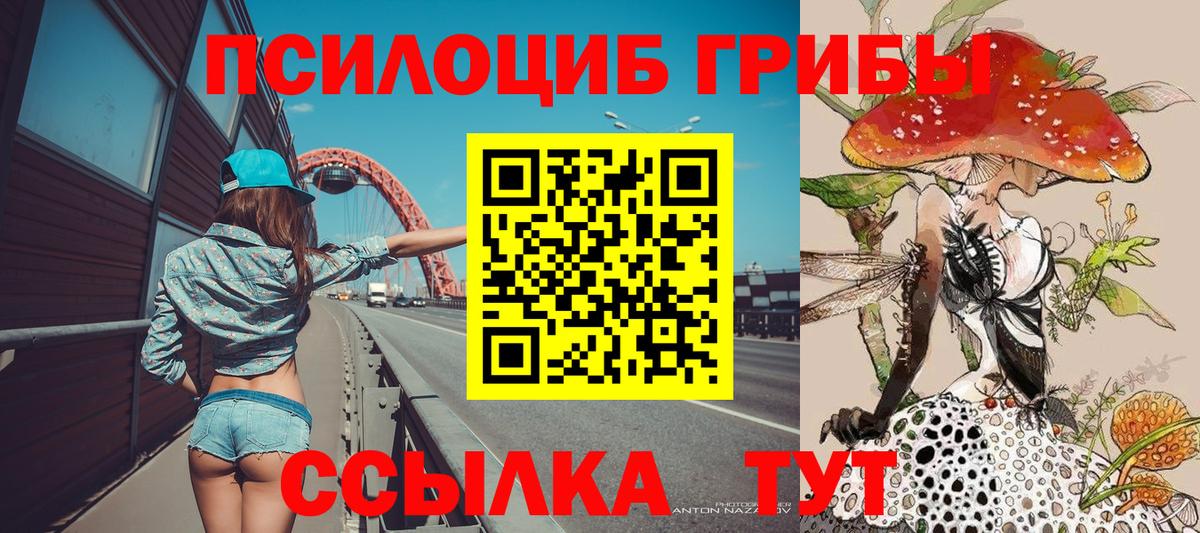Камышлов  Галлюциногенные грибы мицелий  Вход с VPN  Псилоцибиновые грибы Psilocybine cubensis 
