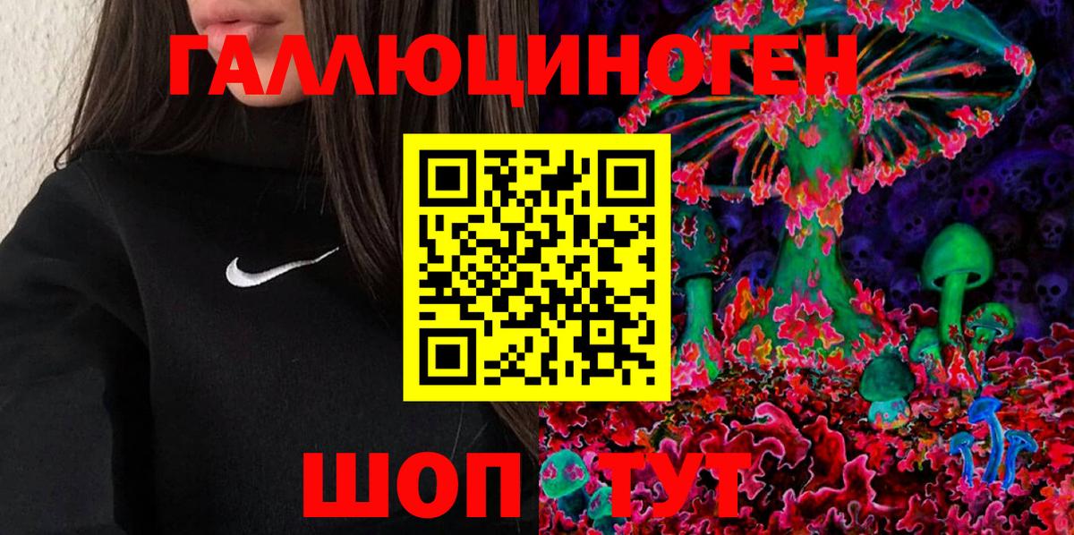 Псилоцибиновые грибы Cubensis Камышлов